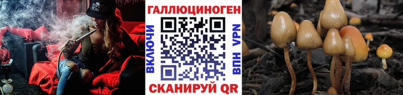 Псилоцибиновые грибы мицелий  Волосово 